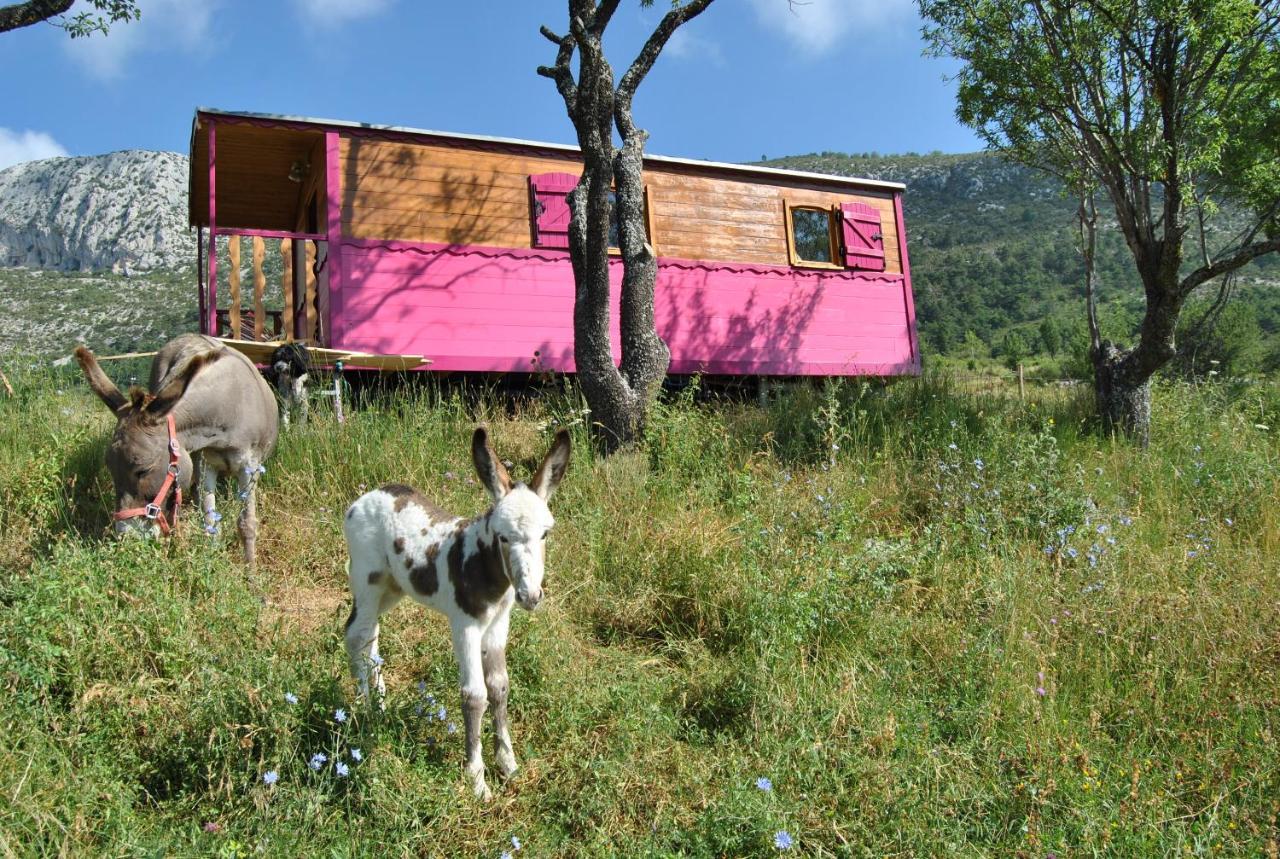 Отель Ferme Saint Pierre Bargeme Экстерьер фото