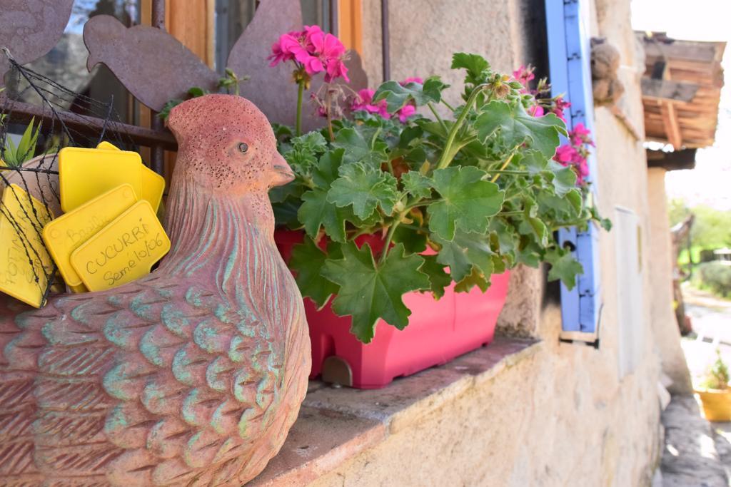 Отель Ferme Saint Pierre Bargeme Экстерьер фото